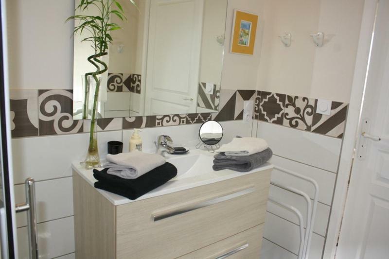 Bed and Breakfast La Pecherie Selles-sur-Cher Exterior foto